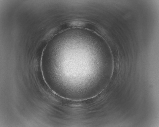 X0000082140551200702021612