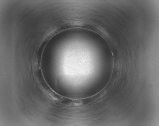 X0000082140552200702021612
