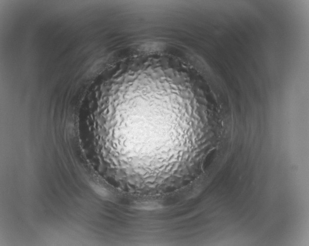X0000082140553200702021612