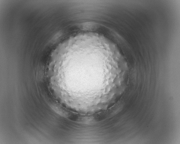 X0000082140554200702021612