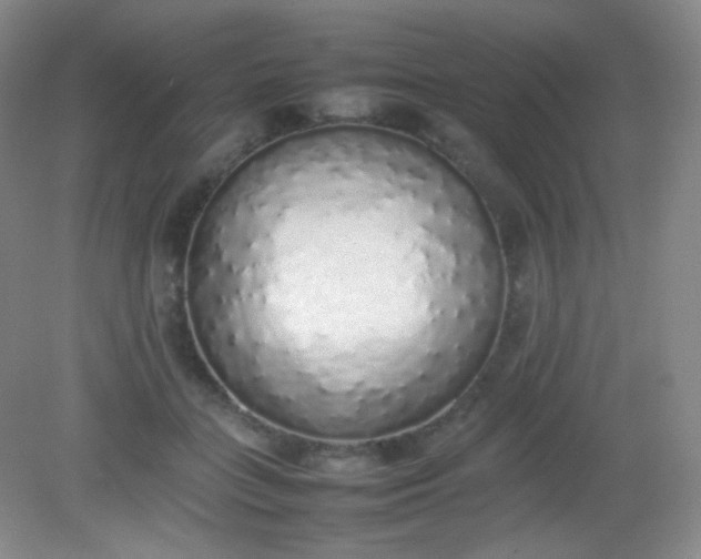 X0000082140555200702021612