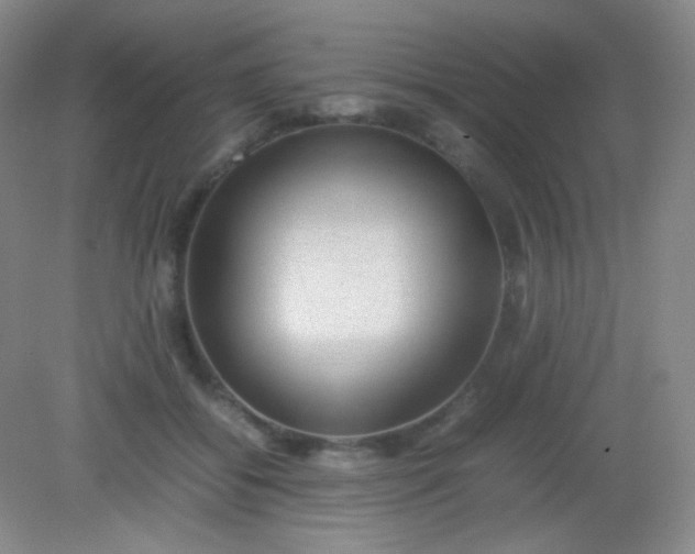 X0000082140556200702021612