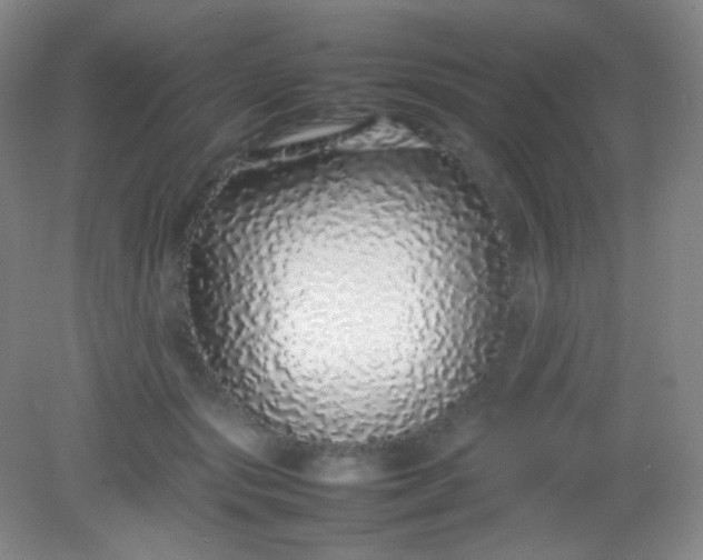 X0000082140557200702021612
