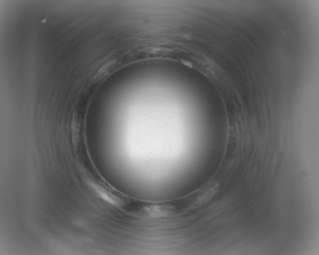 X0000082140558200702021612