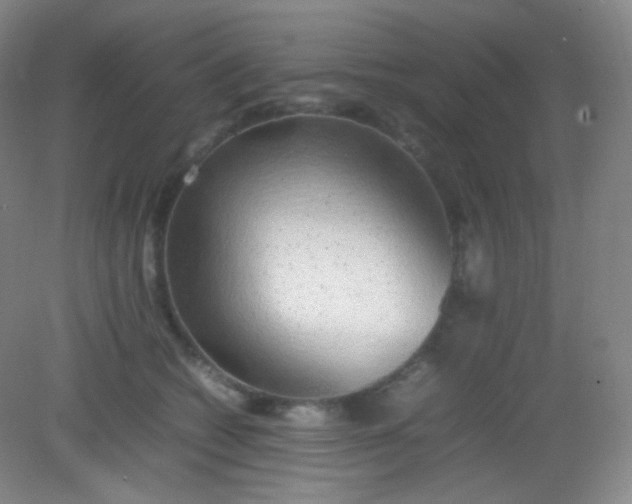 X0000082140562200702021612
