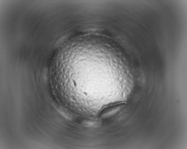 X0000082140563200702021612