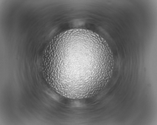 X0000082140565200702021612