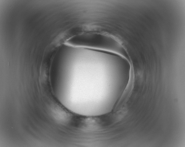 X0000082140566200702021612