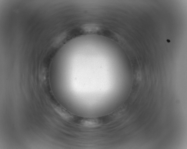 X0000082140567200702021612