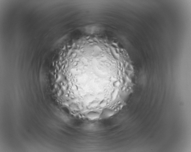 X0000082140569200702021612