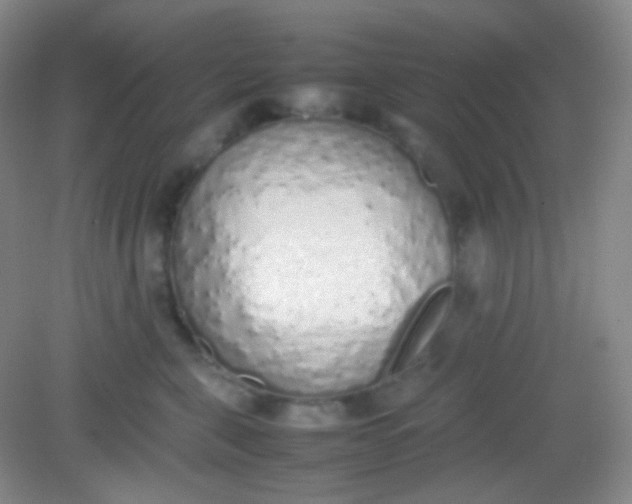 X0000082140571200702021612