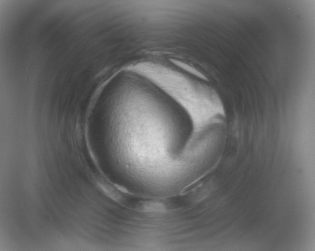X0000082140572200702021612