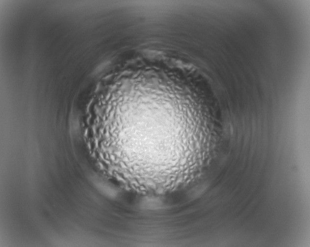 X0000082140573200702021612
