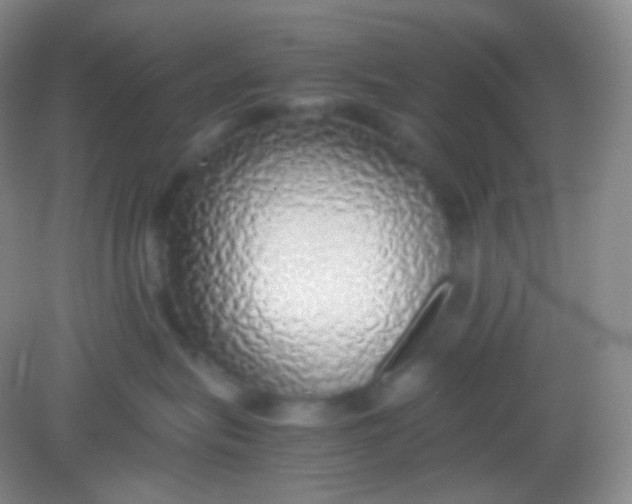 X0000082140575200702021612