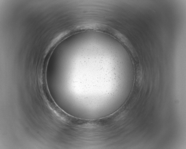 X0000082140578200702021611