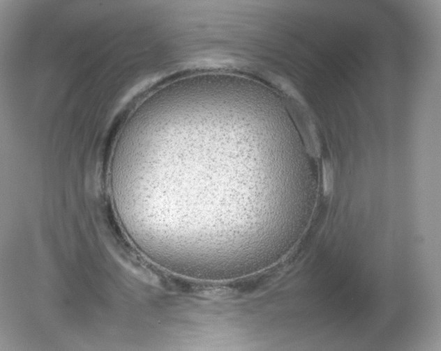 X0000082140579200702021611