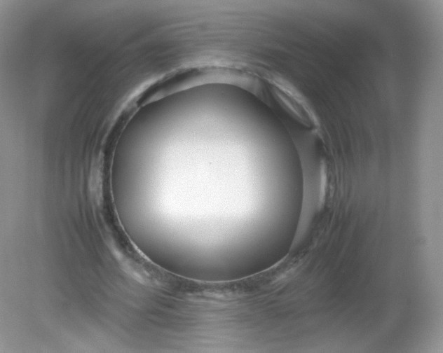 X0000082140580200702021611