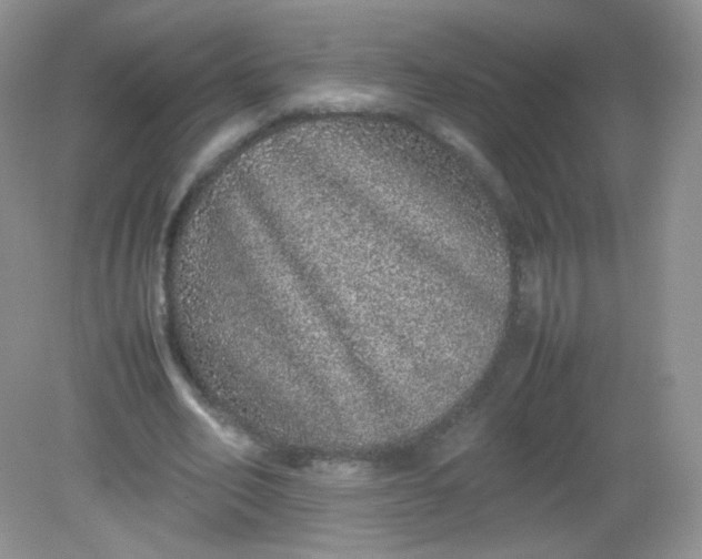 X0000082140582200702021611