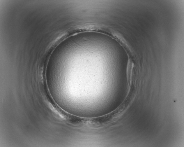 X0000082140585200702021611