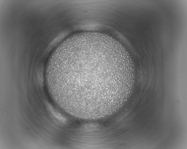 X0000082140586200702021611