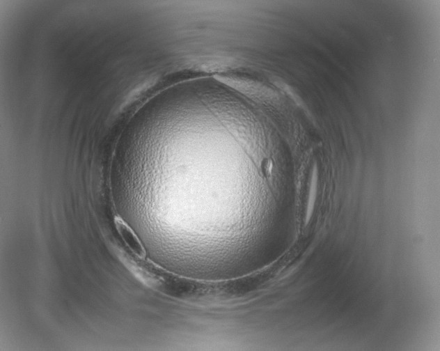 X0000082140589200702021611
