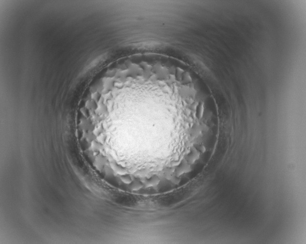 X0000082140591200702021611