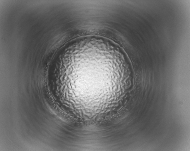 X0000082140594200702021611