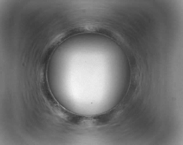 X0000082140595200702021611