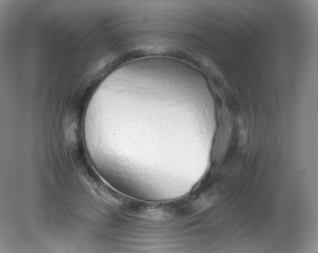 X0000082140596200702021611