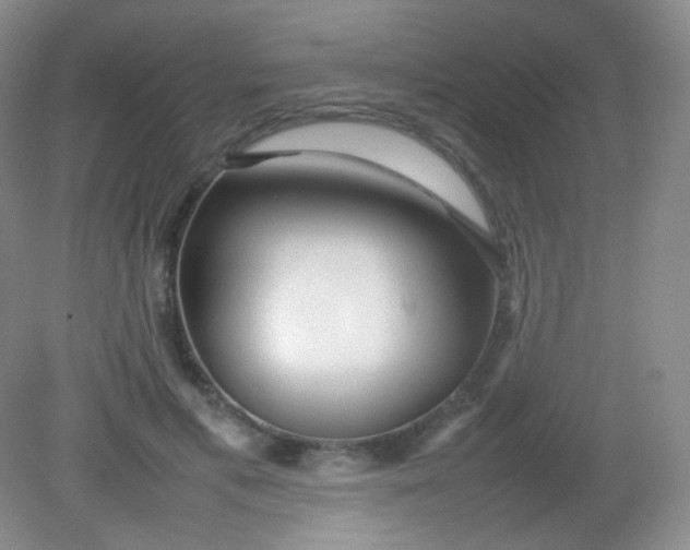 X0000082140597200702021611