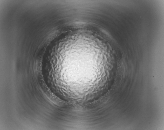 X0000082140598200702021611