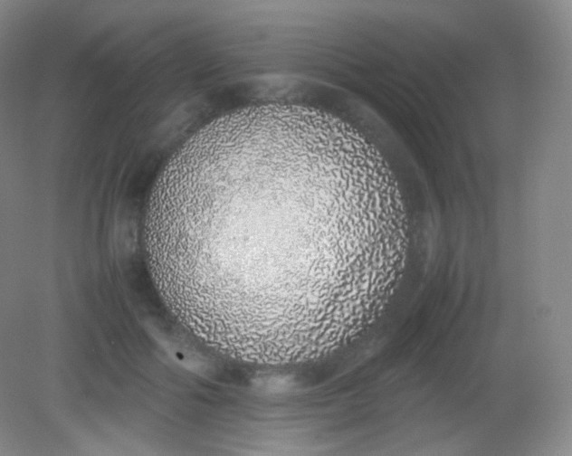 X0000082140602200702021611