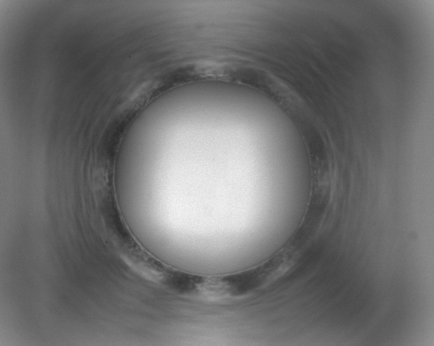 X0000082140603200702021611