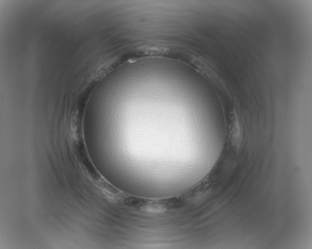 X0000082140604200702021611