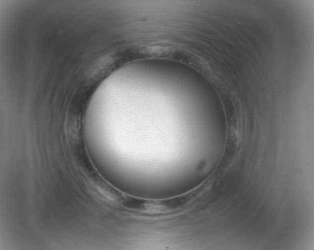 X0000082140605200702021611