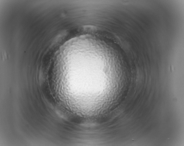 X0000082140606200702021611