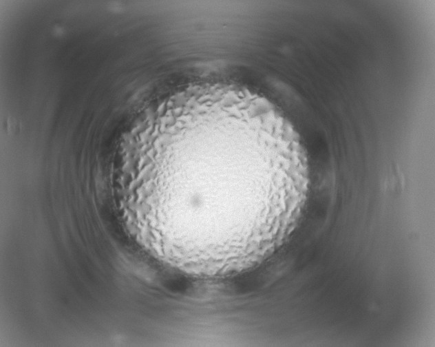 X0000082140607200702021611