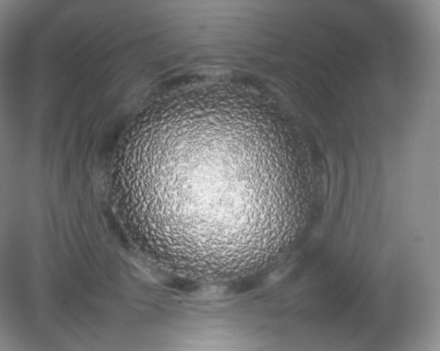 X0000082140609200702021611