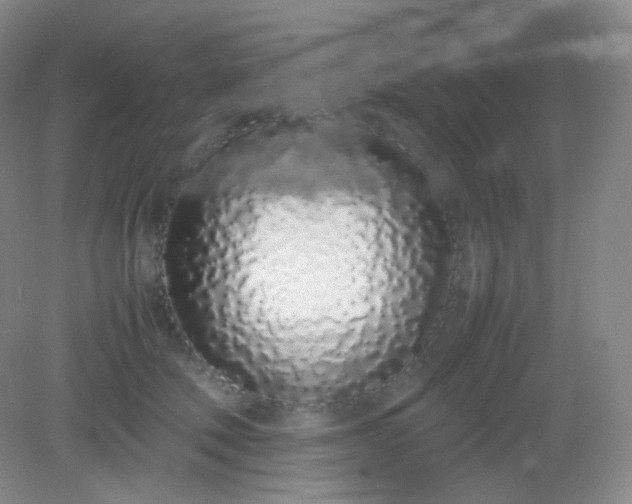 X0000082140610200702021611