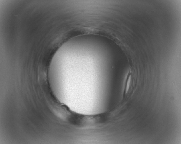 X0000082140613200702021611