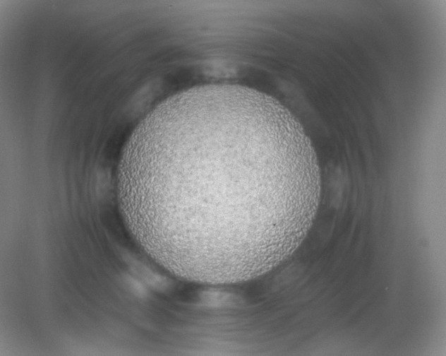 X0000082140614200702021611