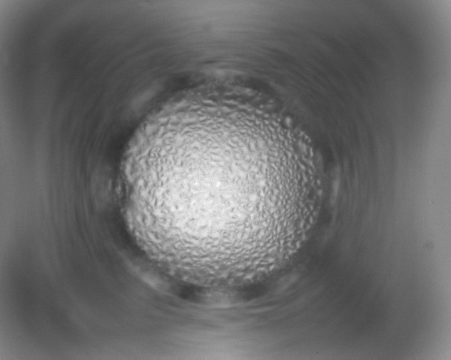 X0000082140615200702021611