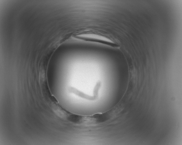 X0000082140617200702021611