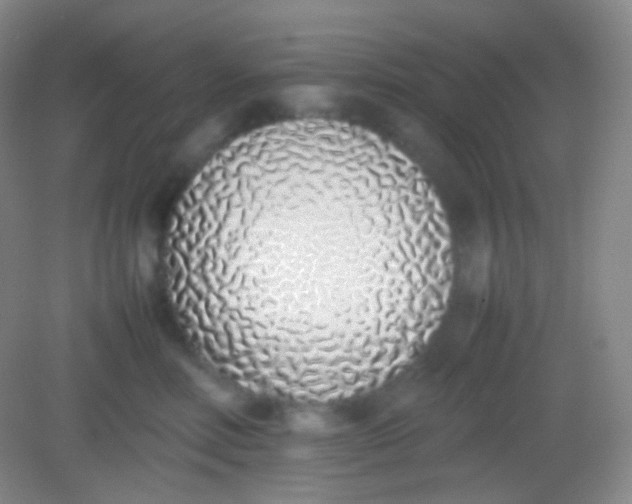 X0000082140618200702021611