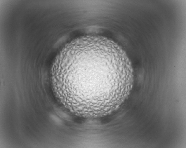X0000082140619200702021611