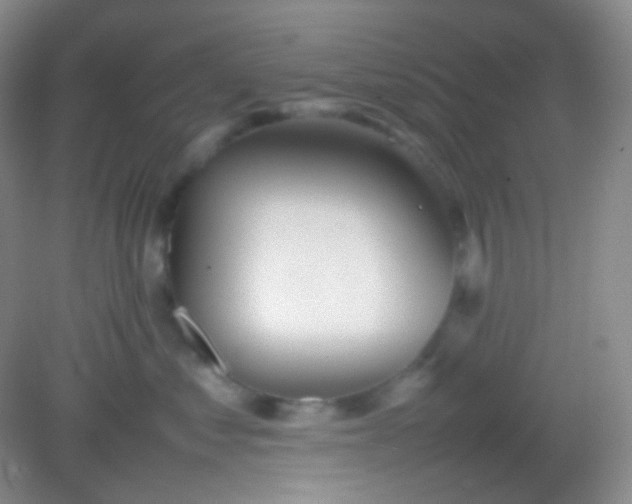 X0000082140621200702021611