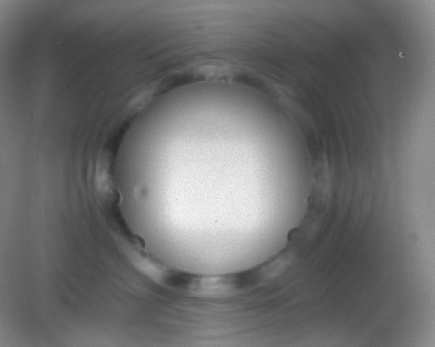 X0000082140622200702021611