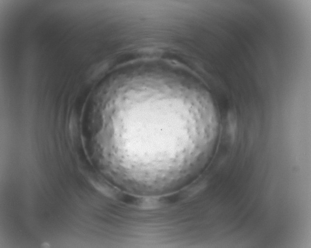 X0000082140623200702021611