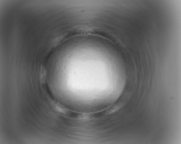 X0000082140624200702021611