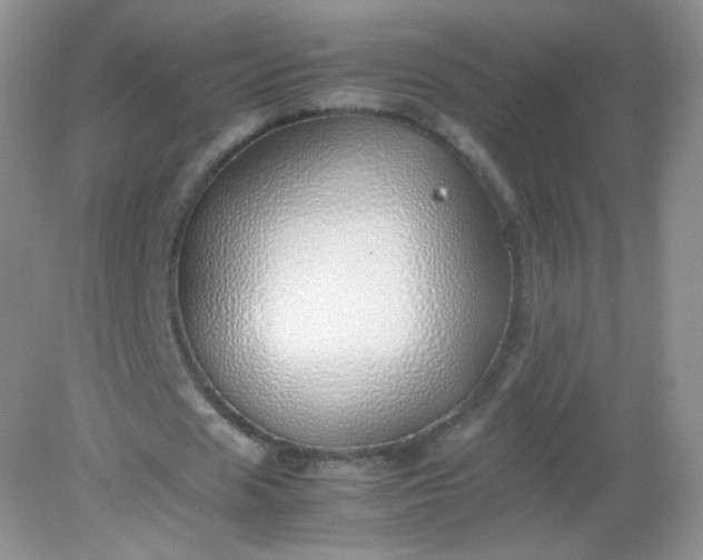 X0000082140625200702021610